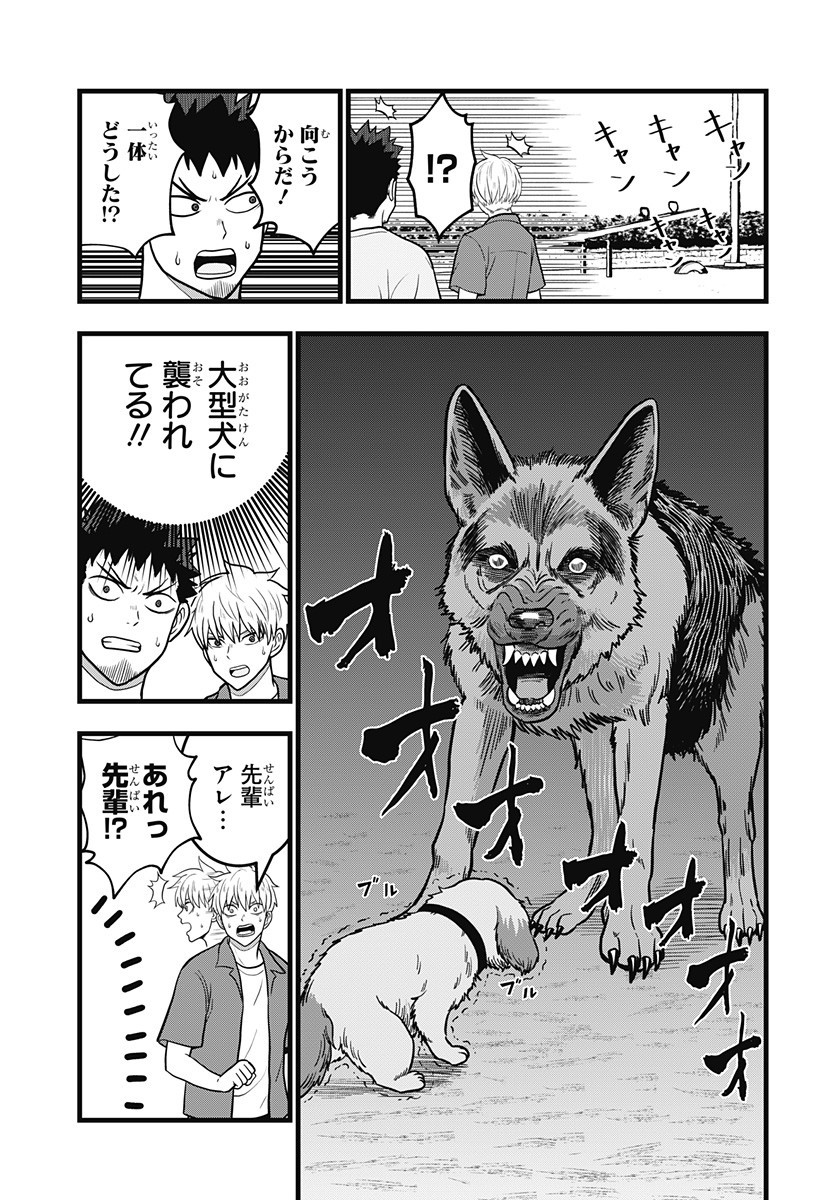 P13