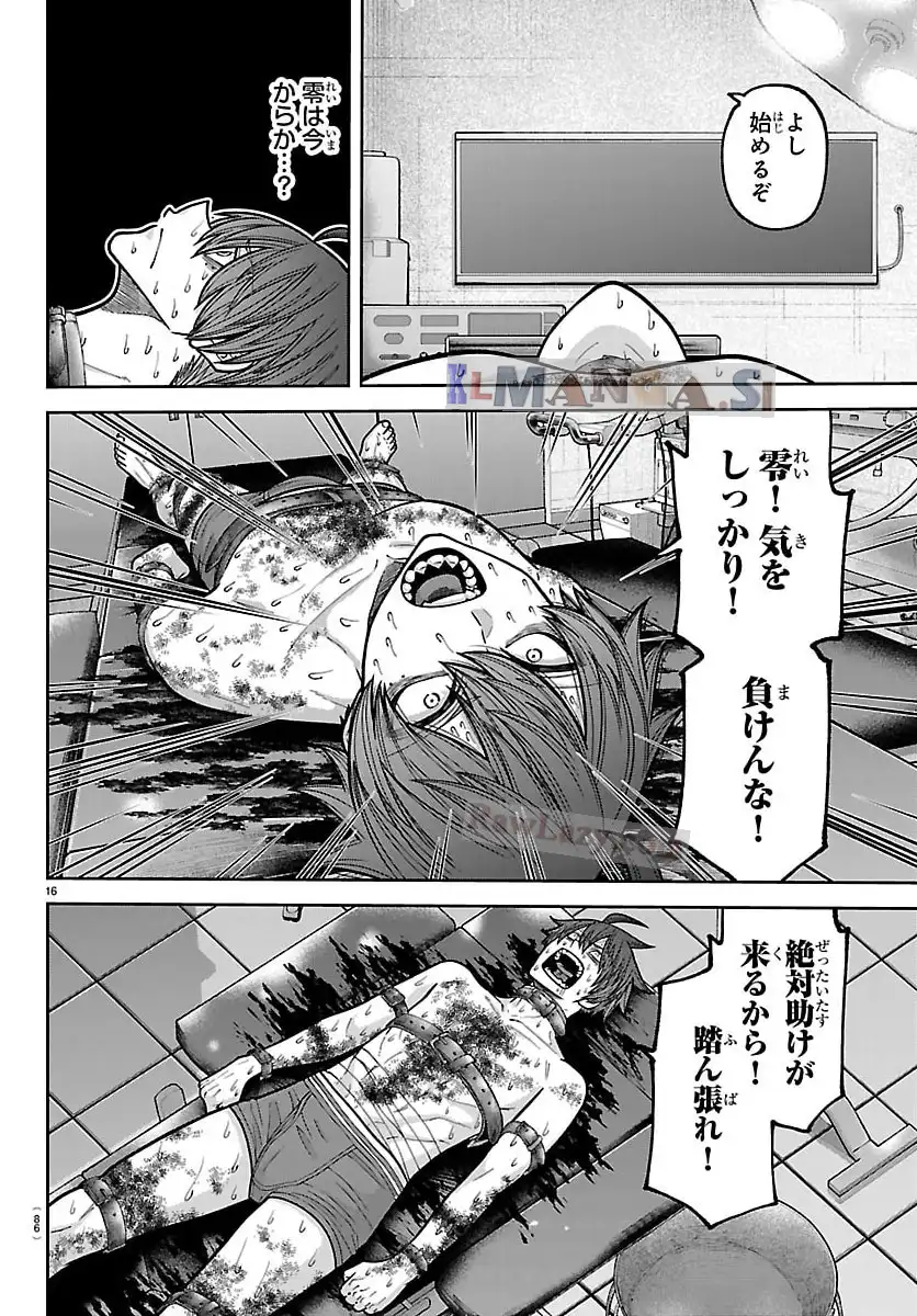 P16