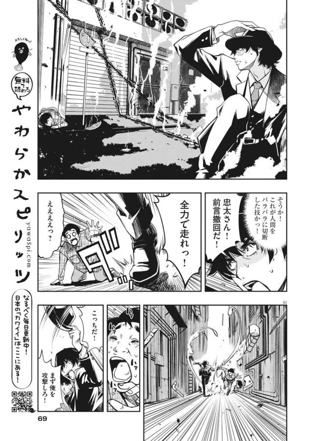 P61