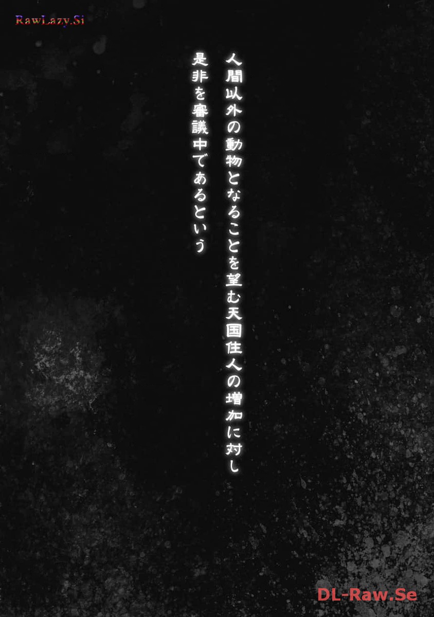 P43