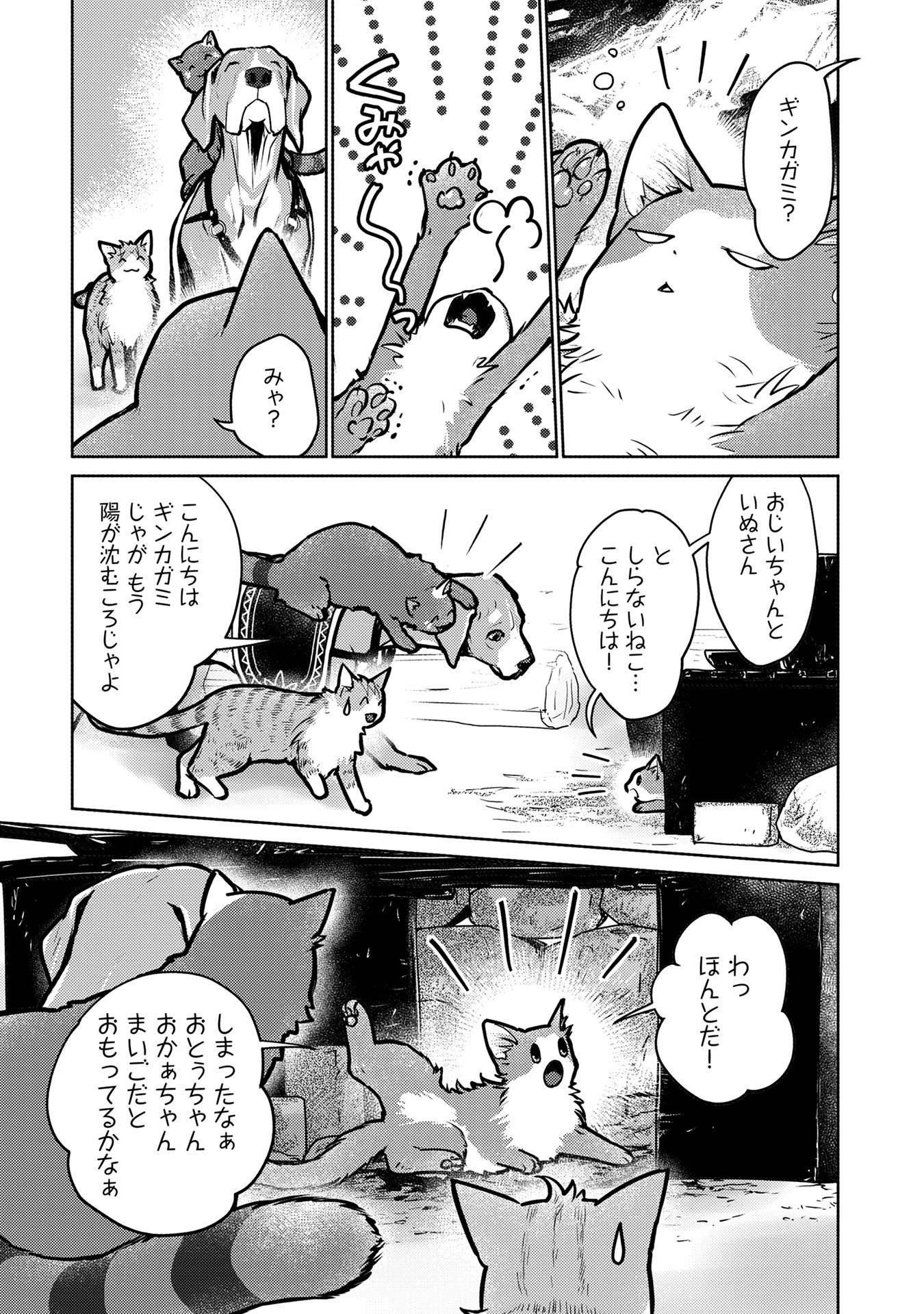 P37