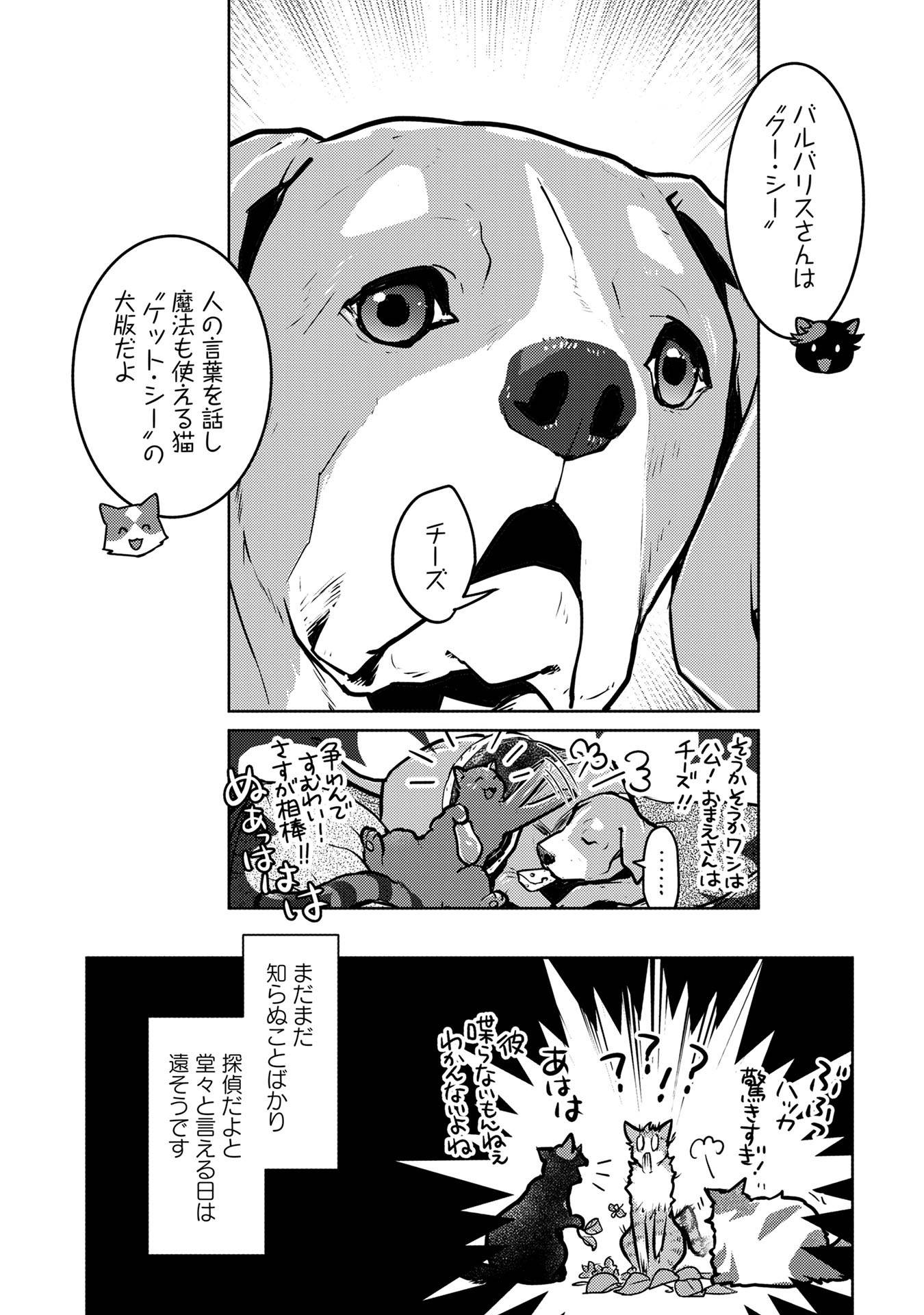 P40