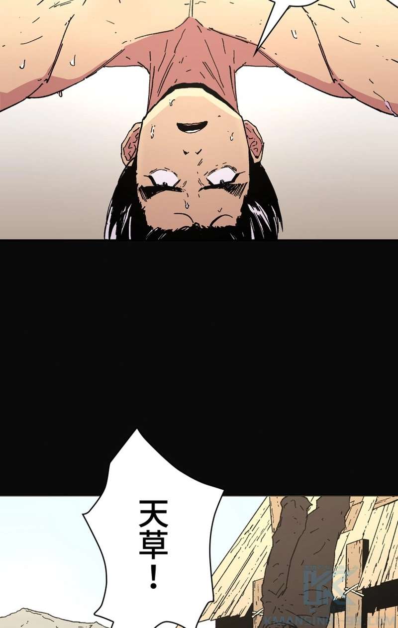 P53