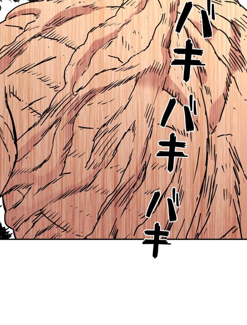 P52