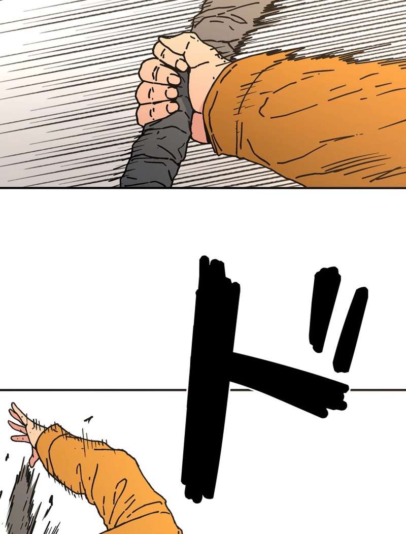 P58