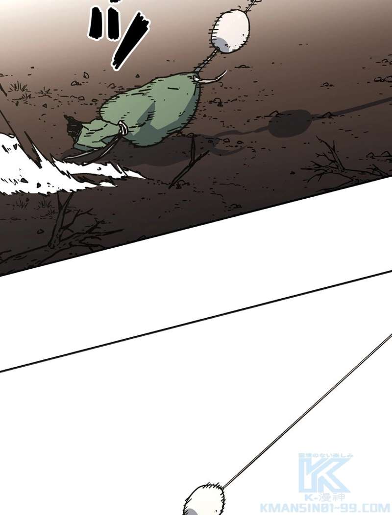 P61