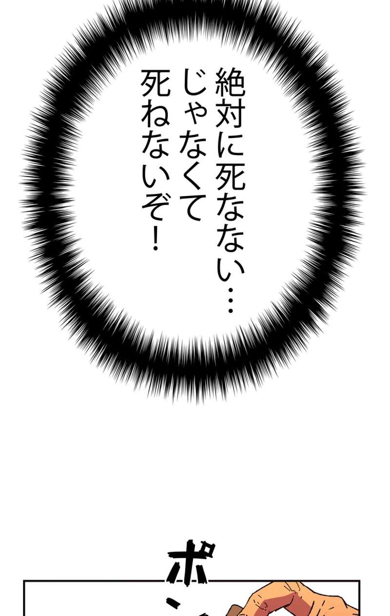 P61