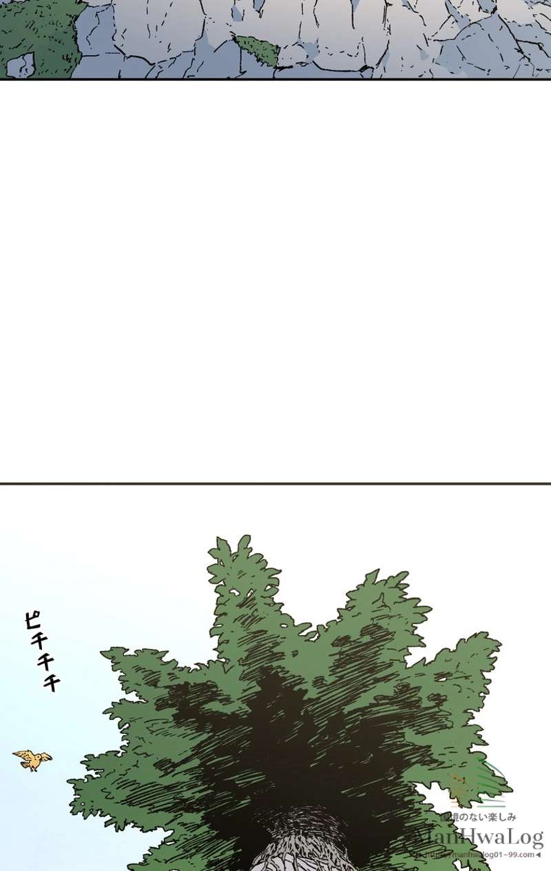 P40