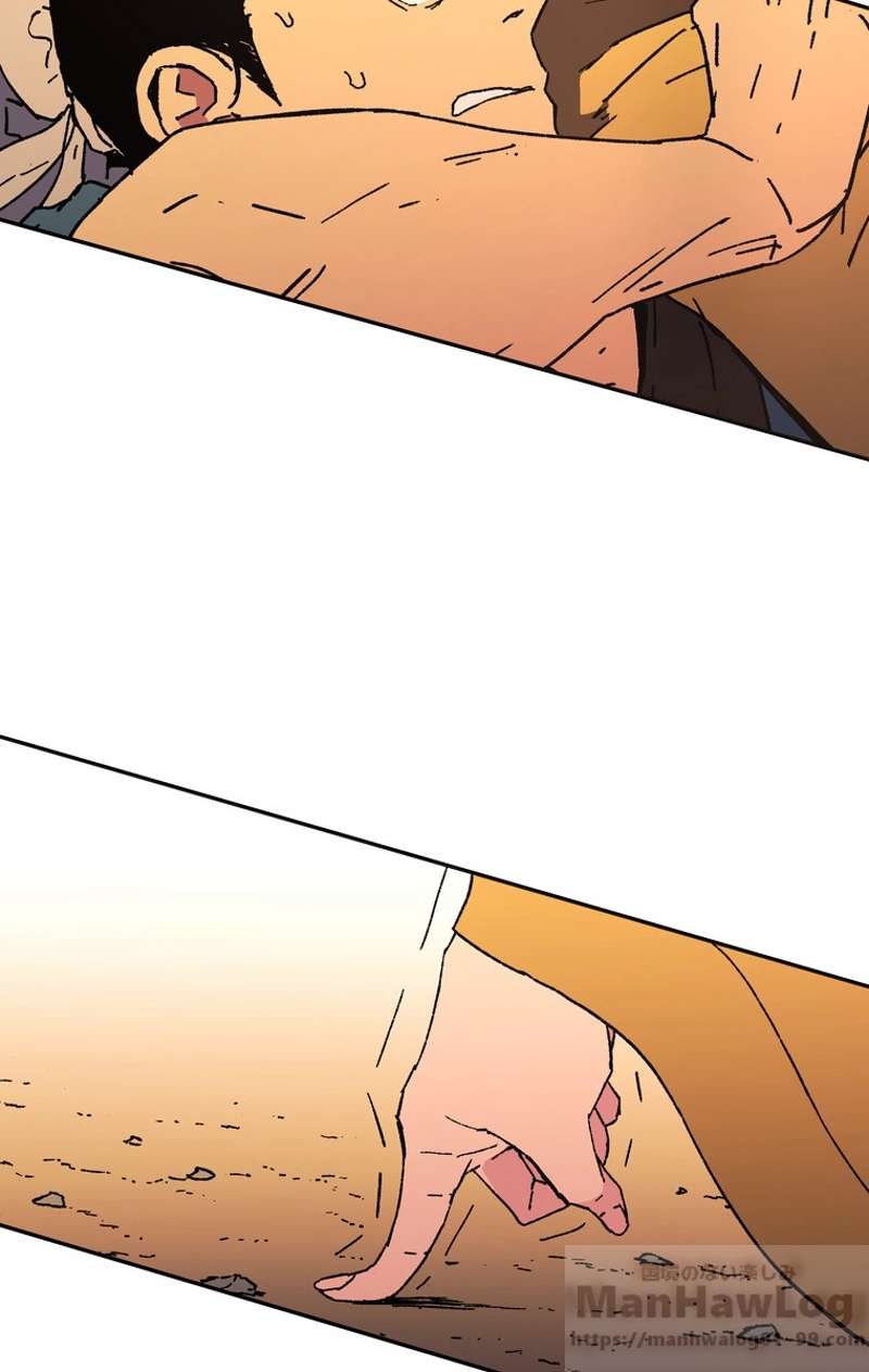 P53