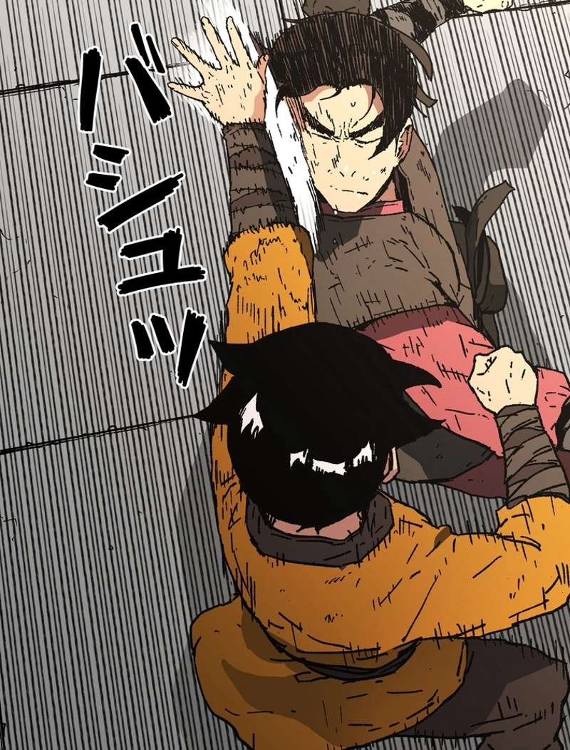 P66