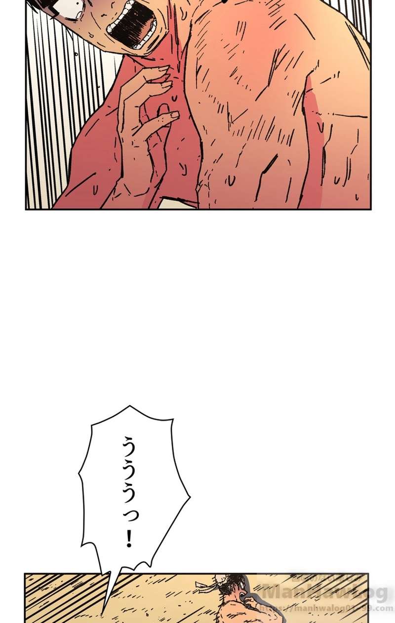 P63
