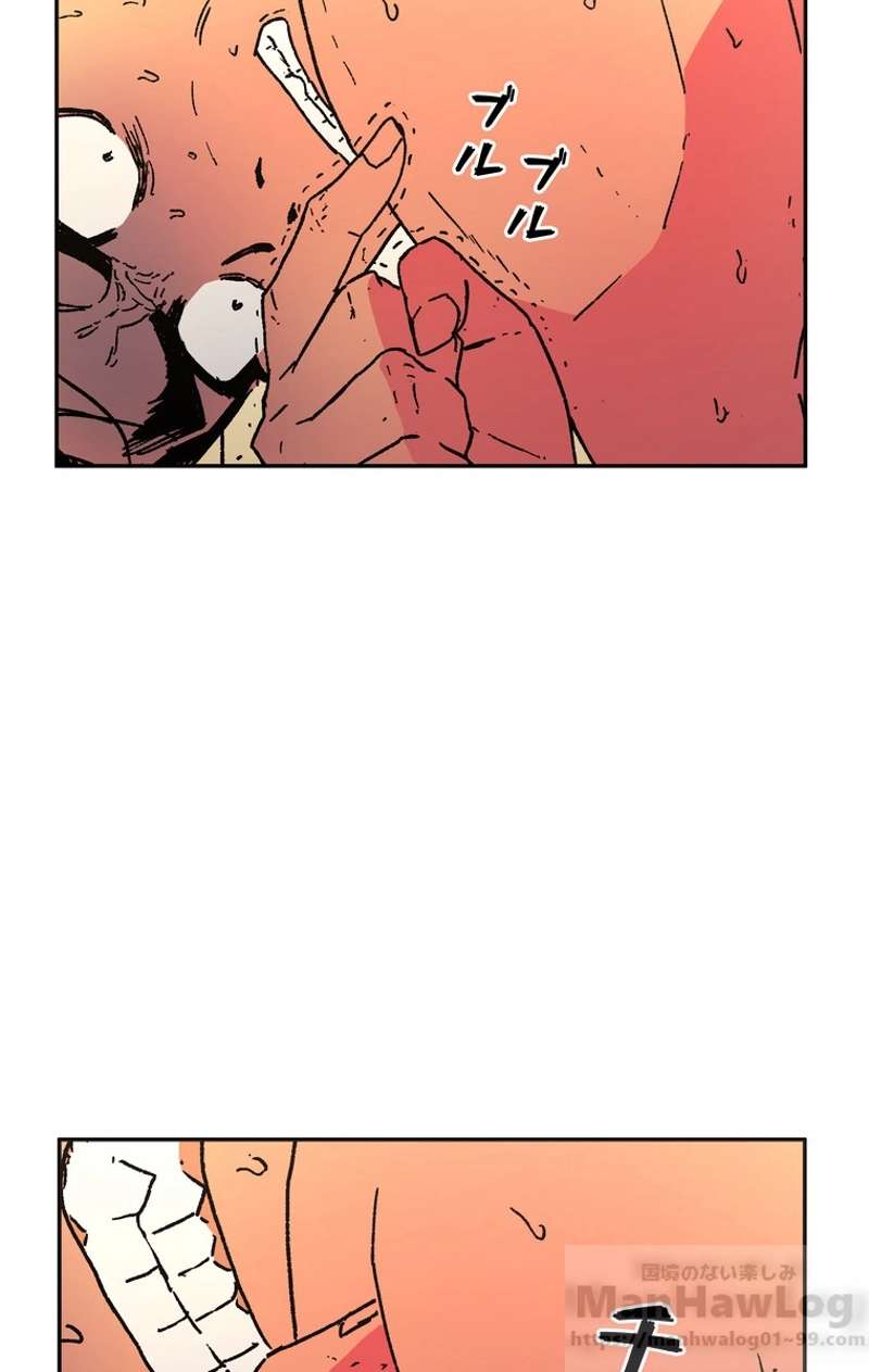 P66