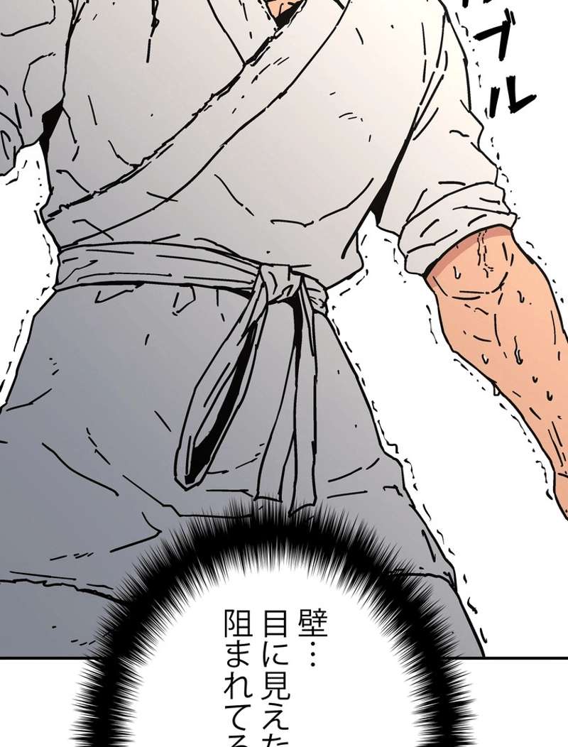 P58