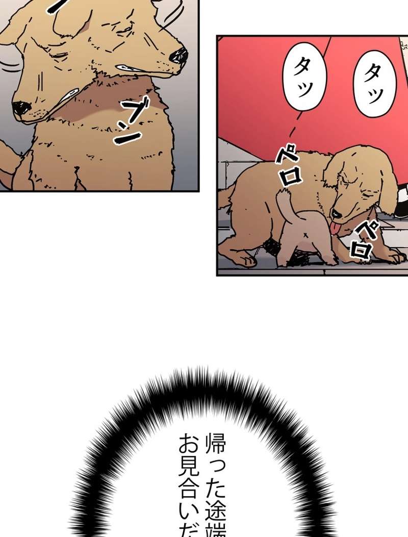 P78