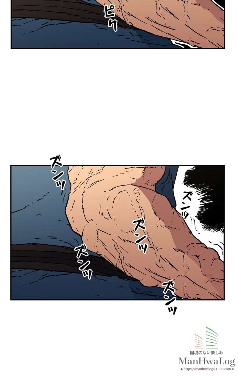 P66