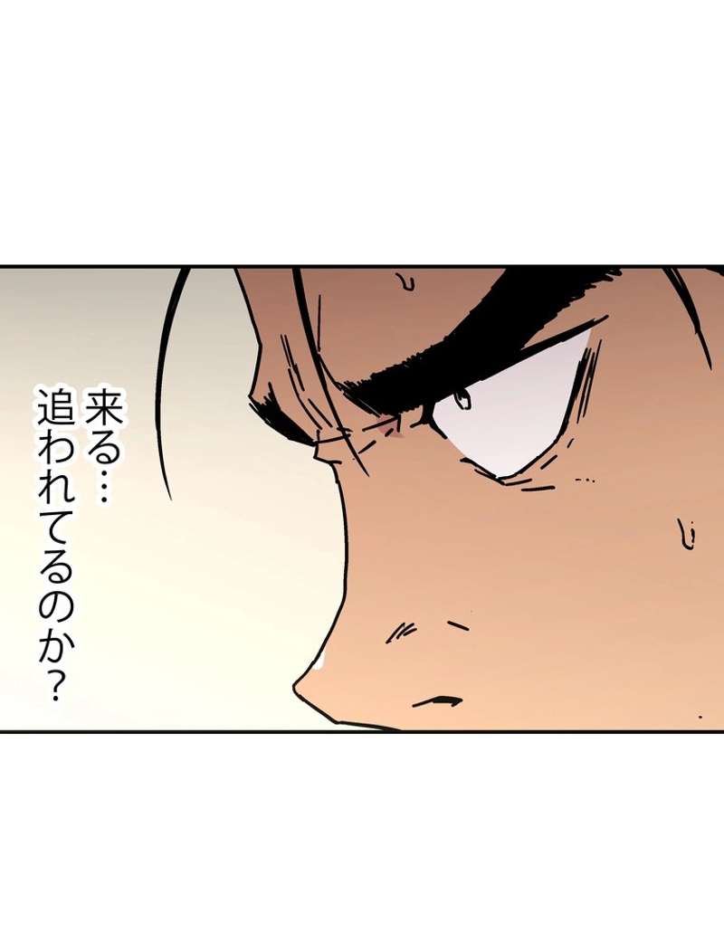 P61