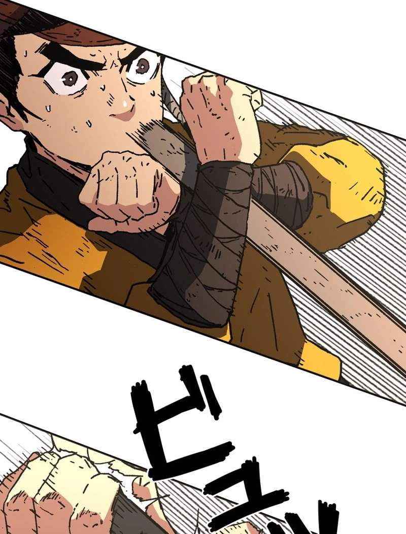 P66