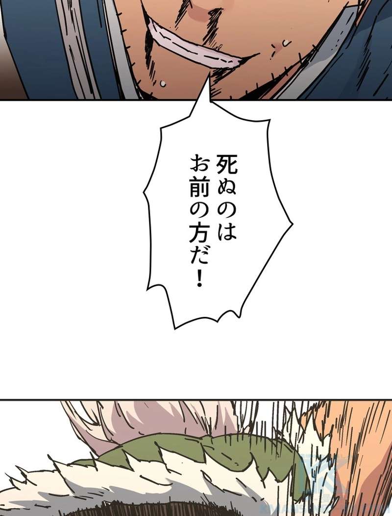 P61