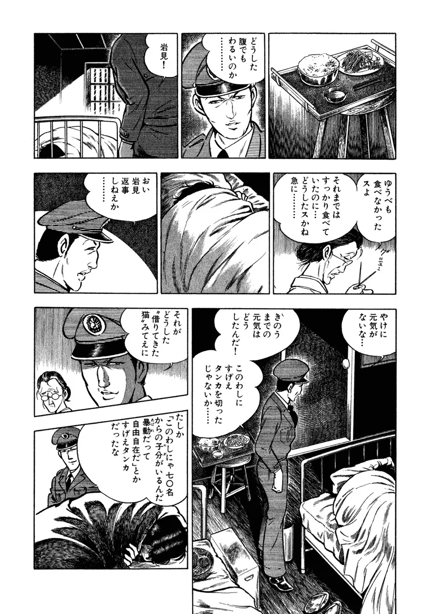 P53