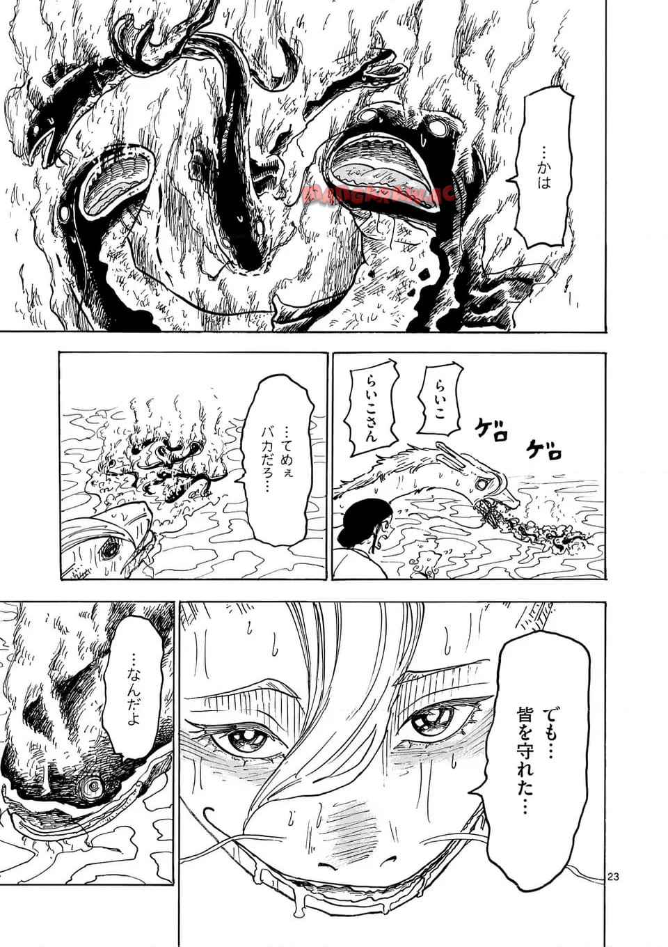 P23