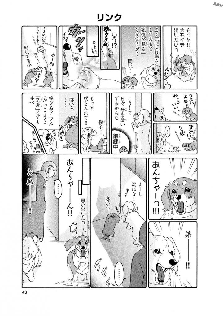 P41