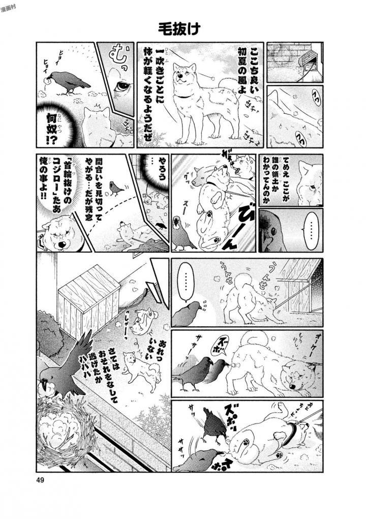 P47
