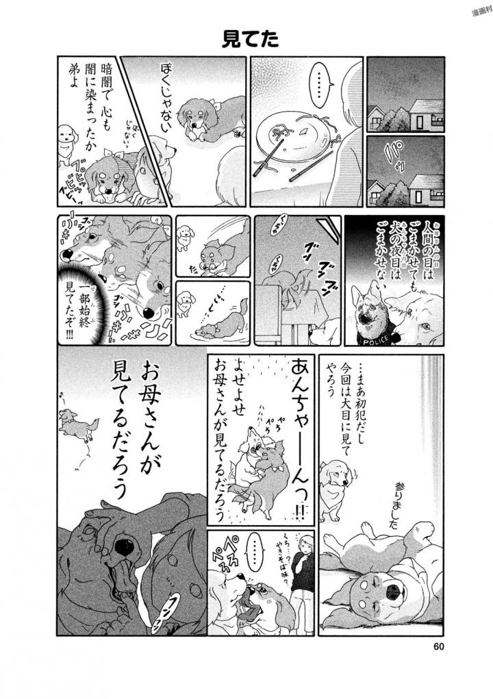 P58