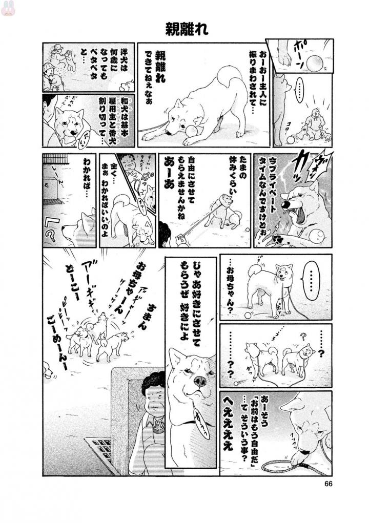 P64