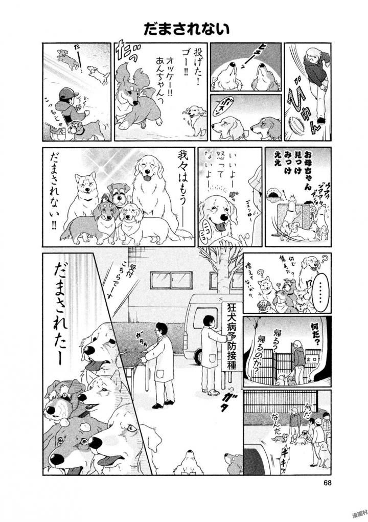 P66