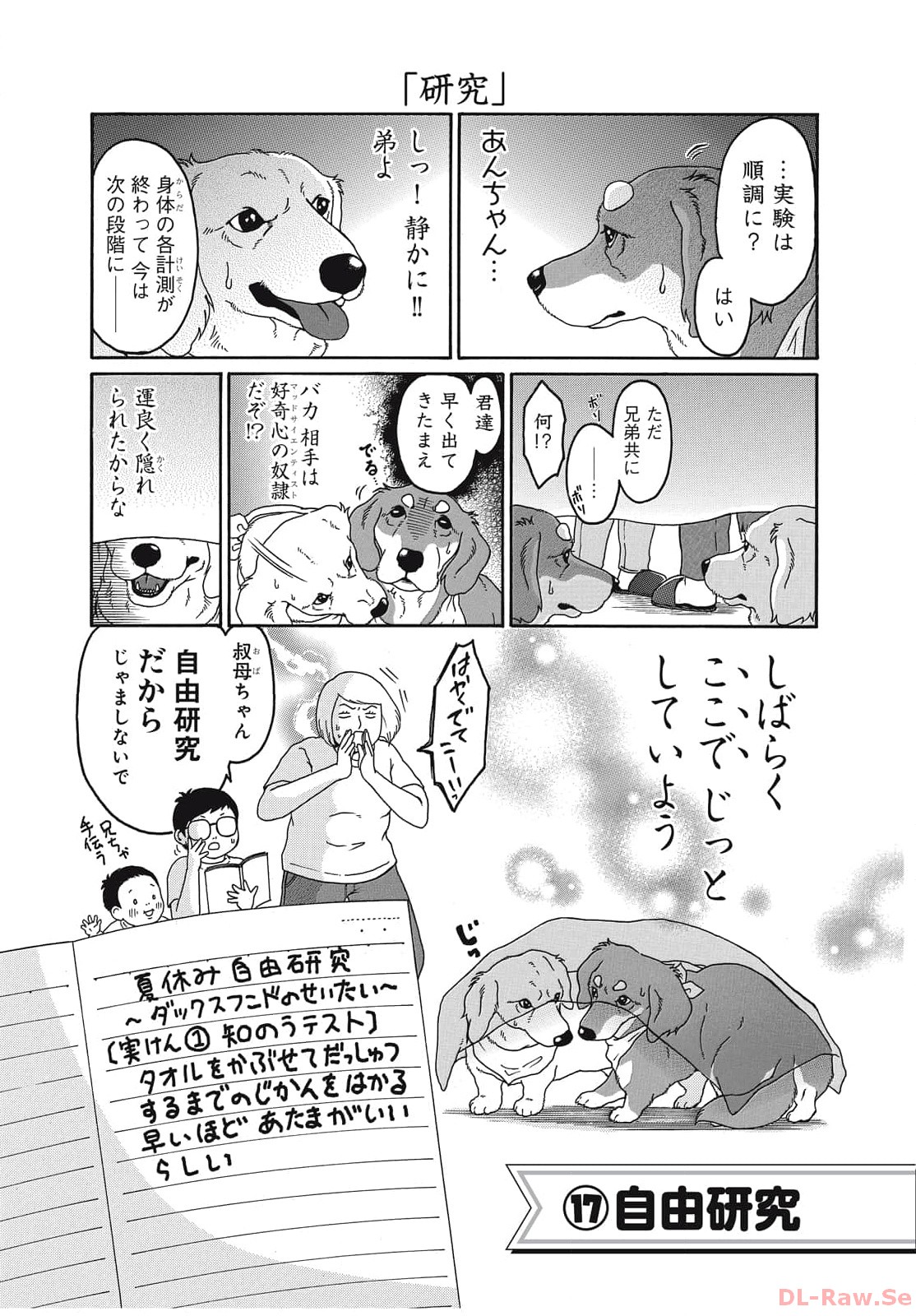 P41