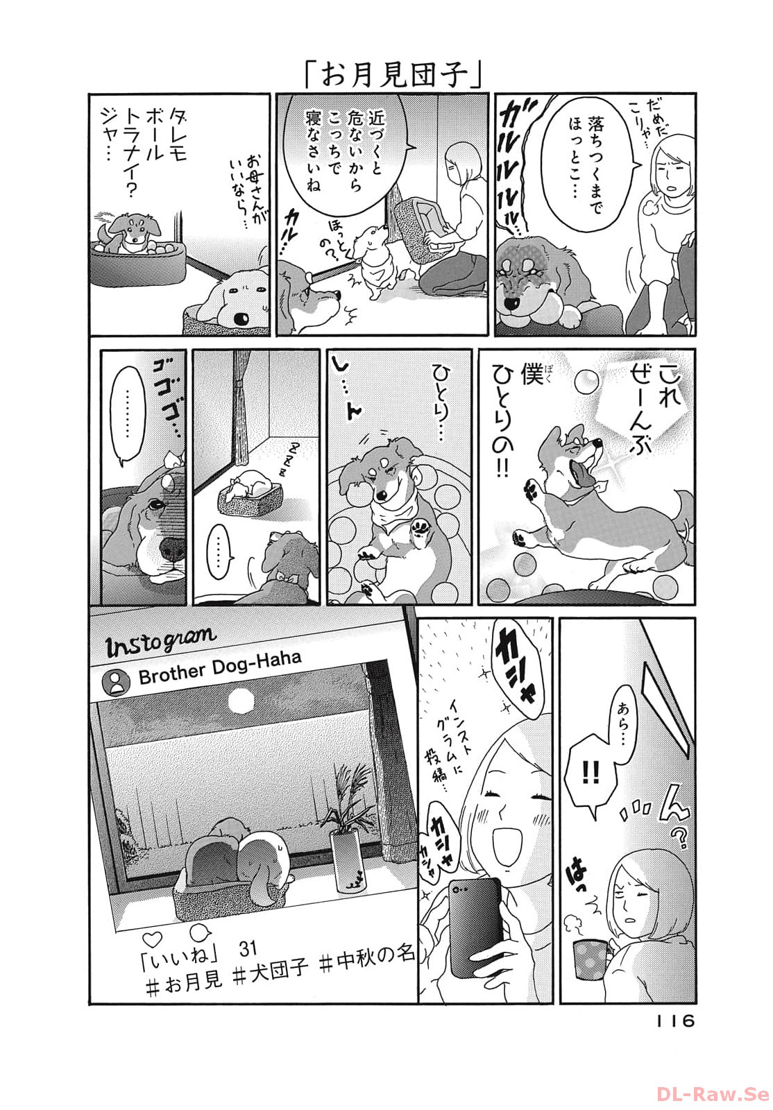 P58