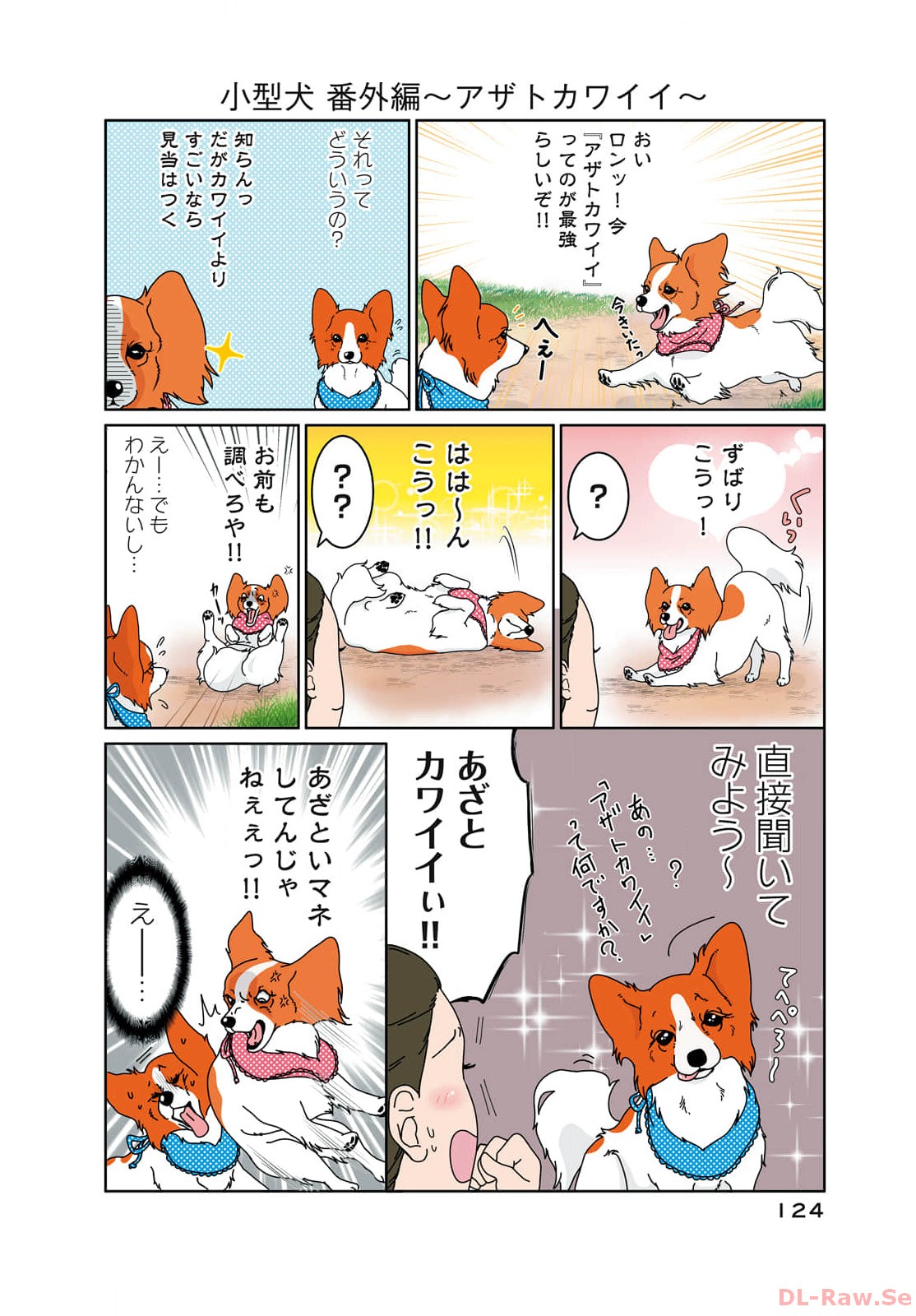 P66