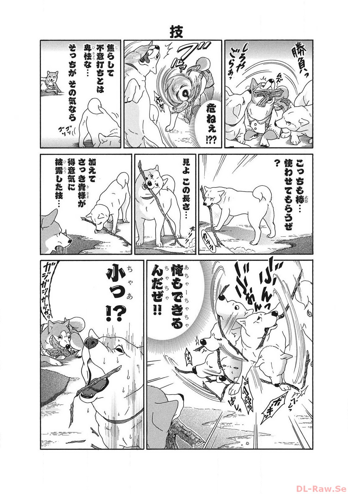 P40