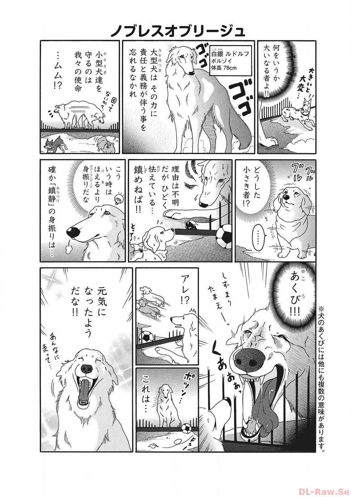 P52