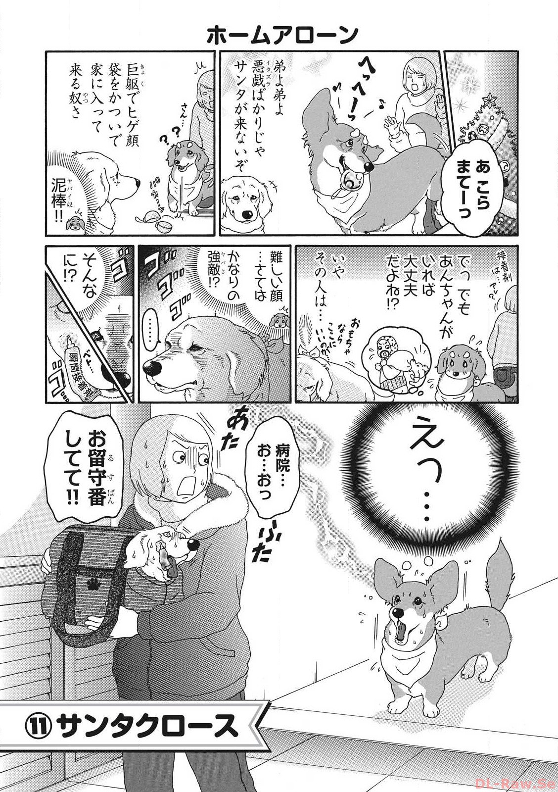 P61