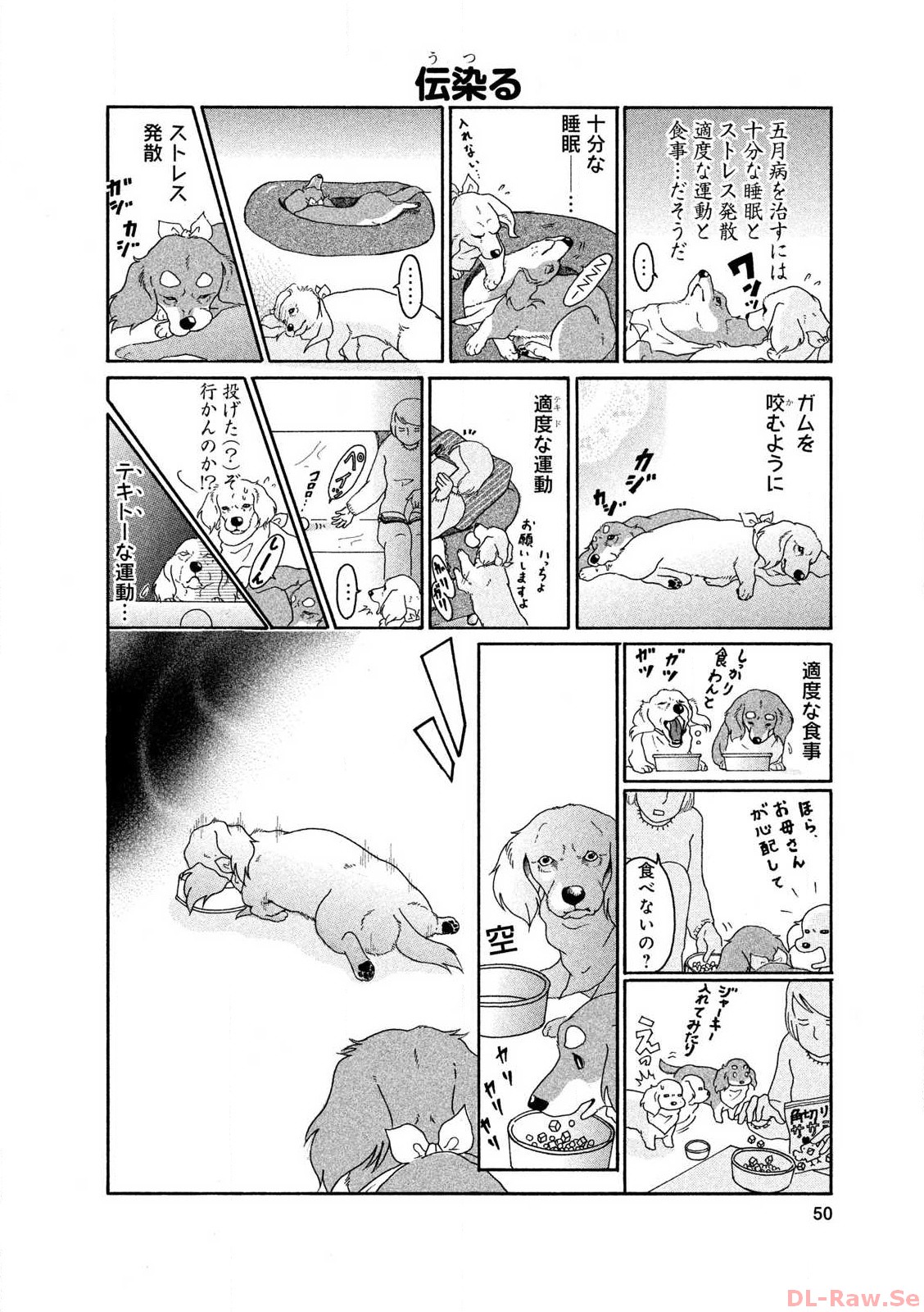 P48