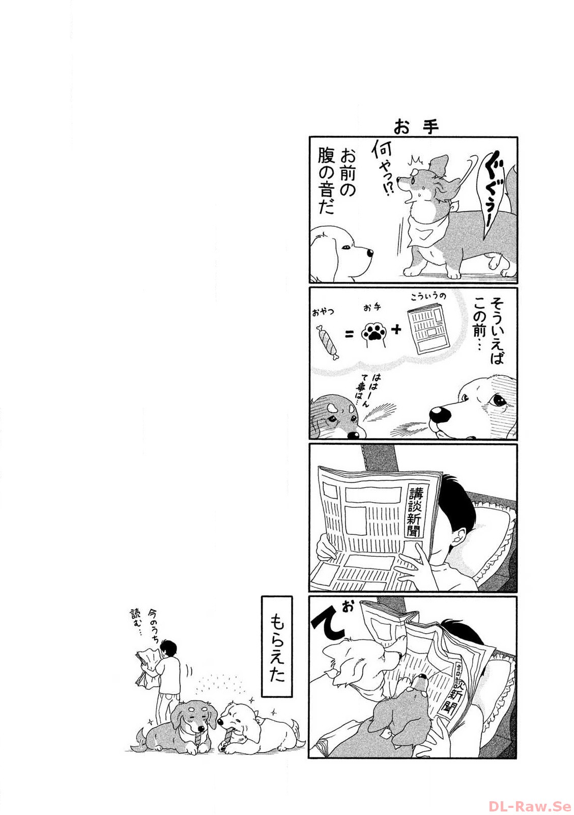 P58