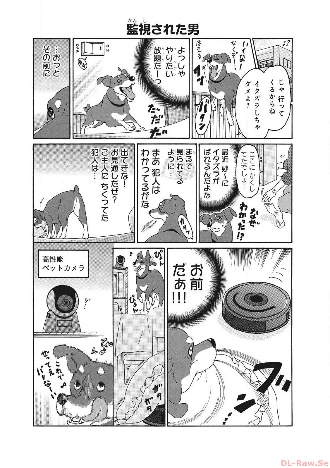 P51