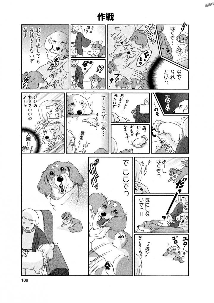 P39