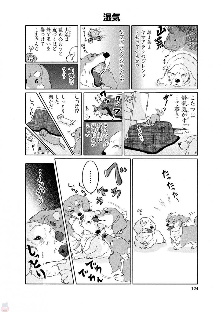 P54