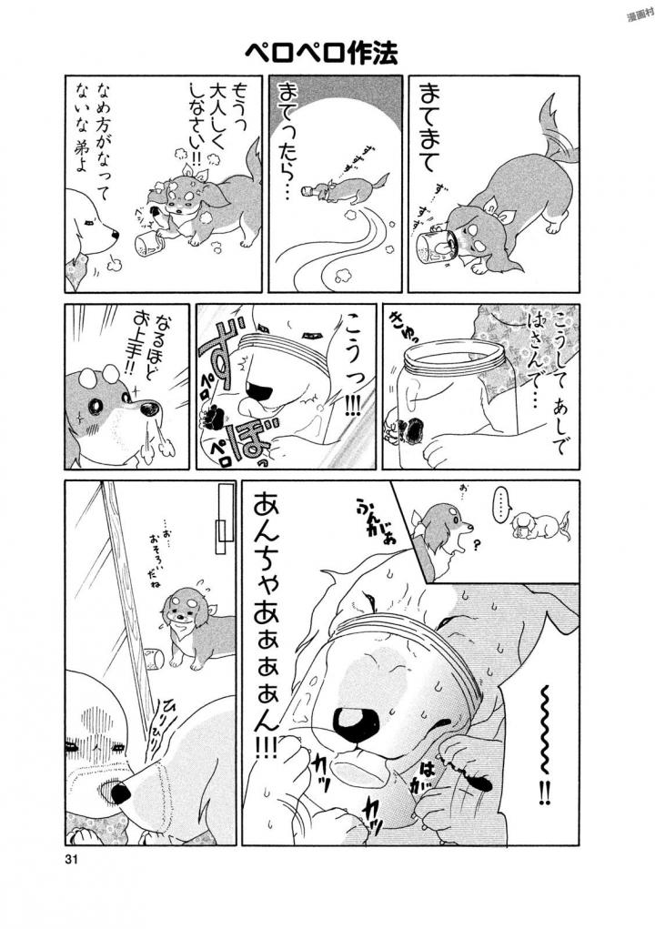 P29