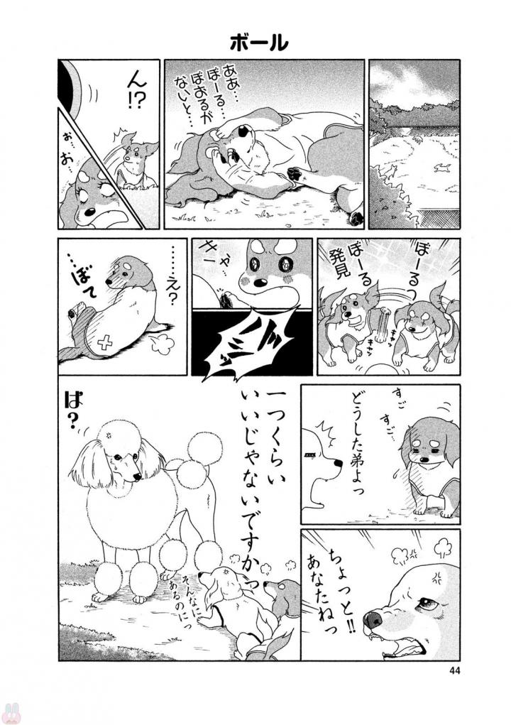P42