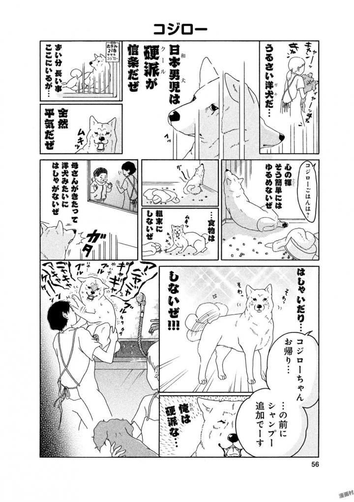P54