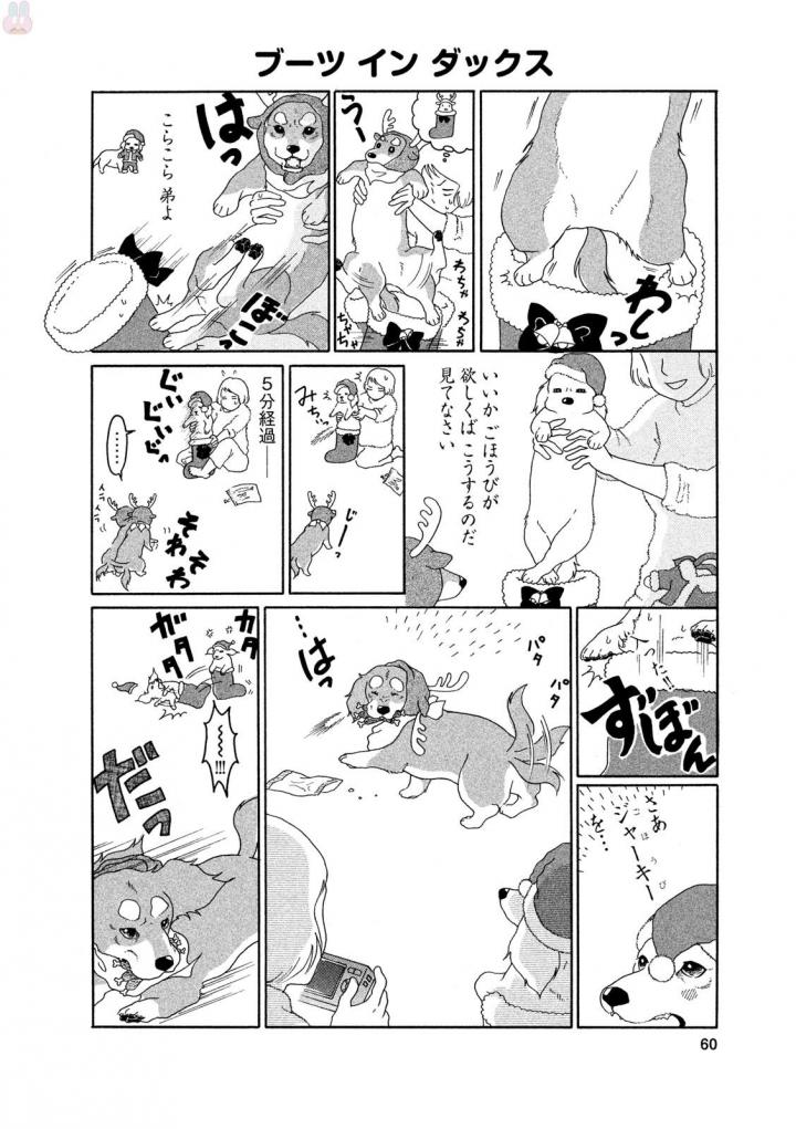 P58