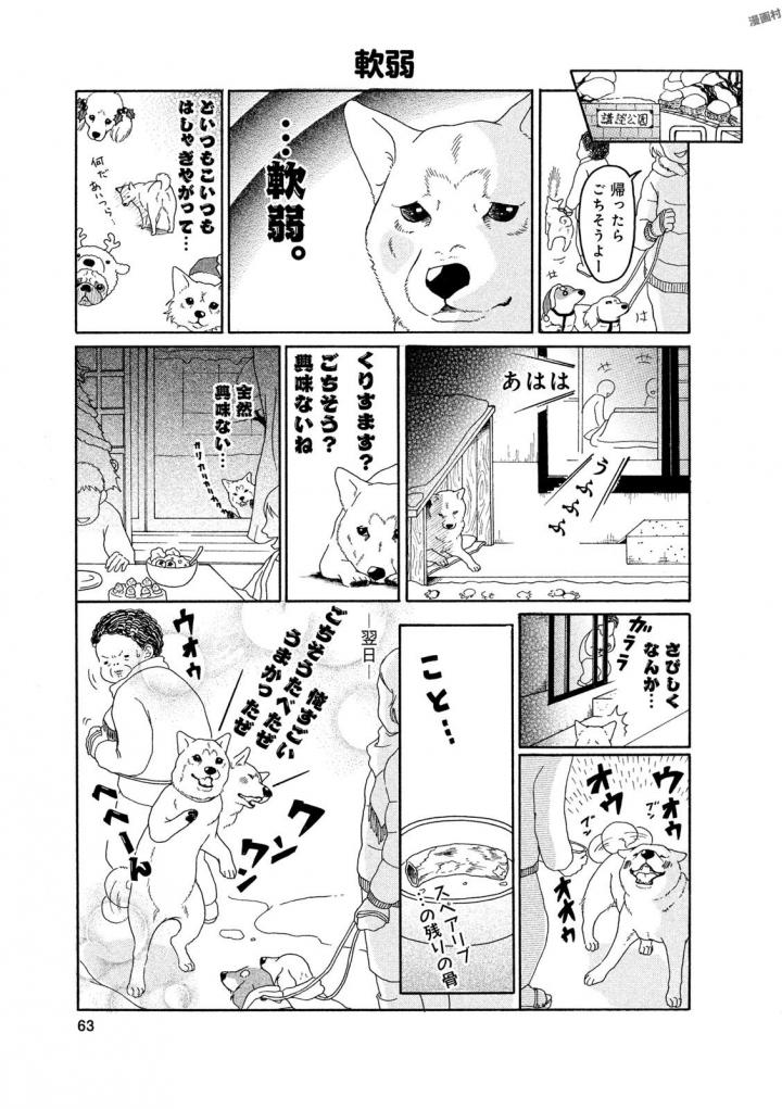P61