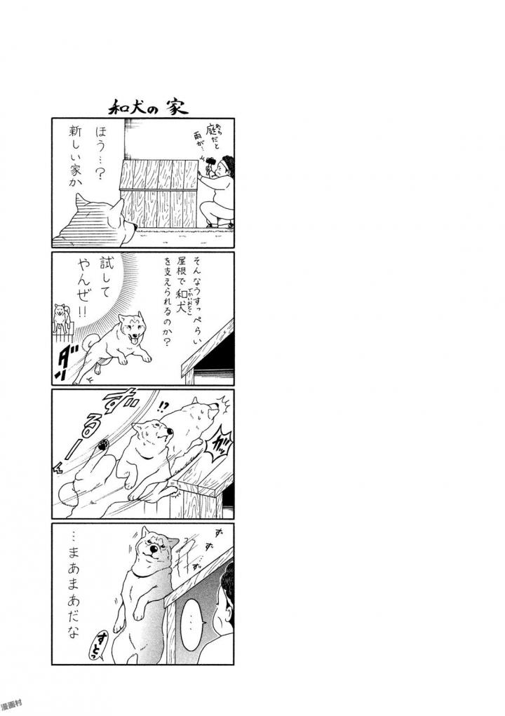 P63