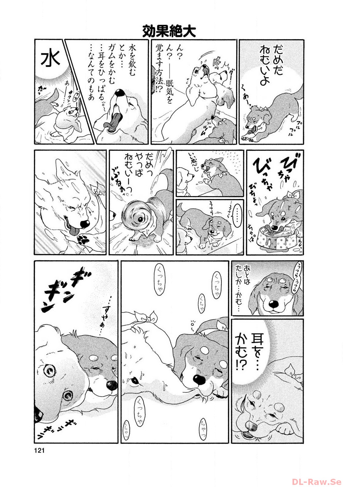 P61
