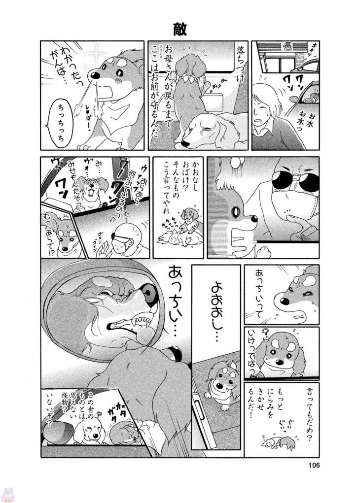 P40
