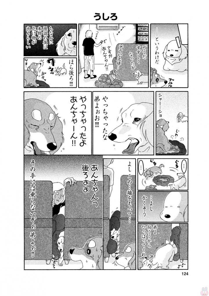 P58