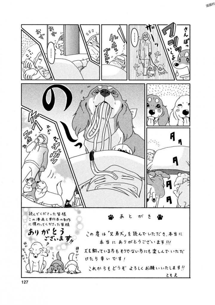 P61